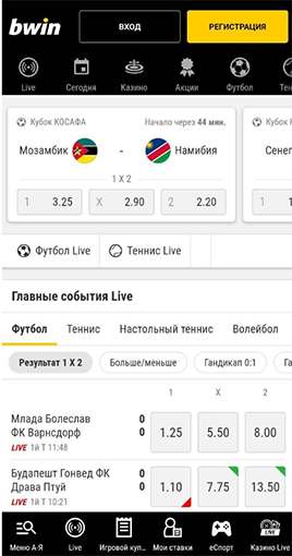 Мобильное приложение bwin