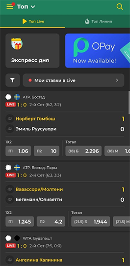Приложение БК Betwinner